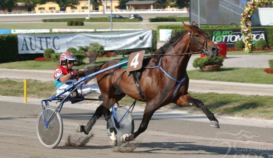 La carriera di Daguet Rapide: vinse il Derby 2003